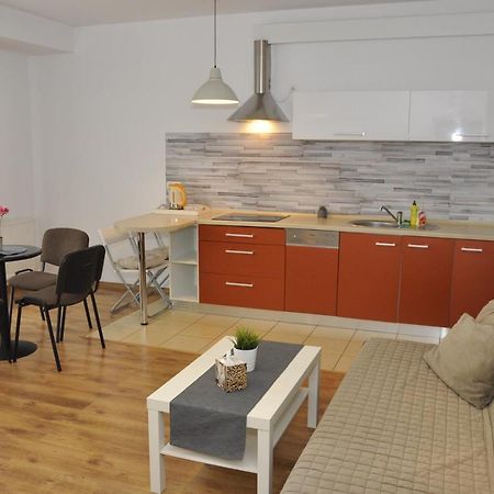 Apartament Bazantowo カトヴィツェ エクステリア 写真