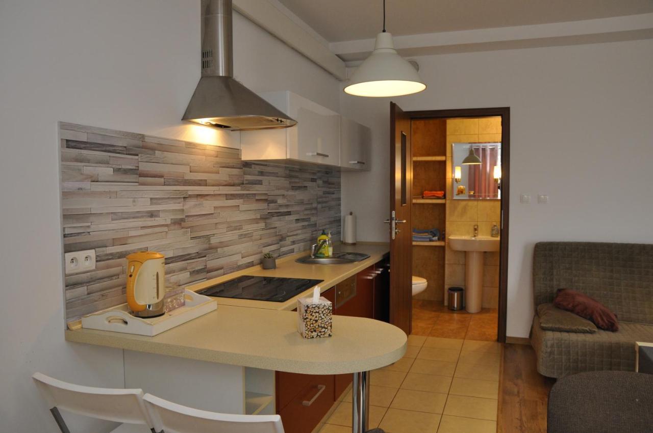 Apartament Bazantowo カトヴィツェ エクステリア 写真