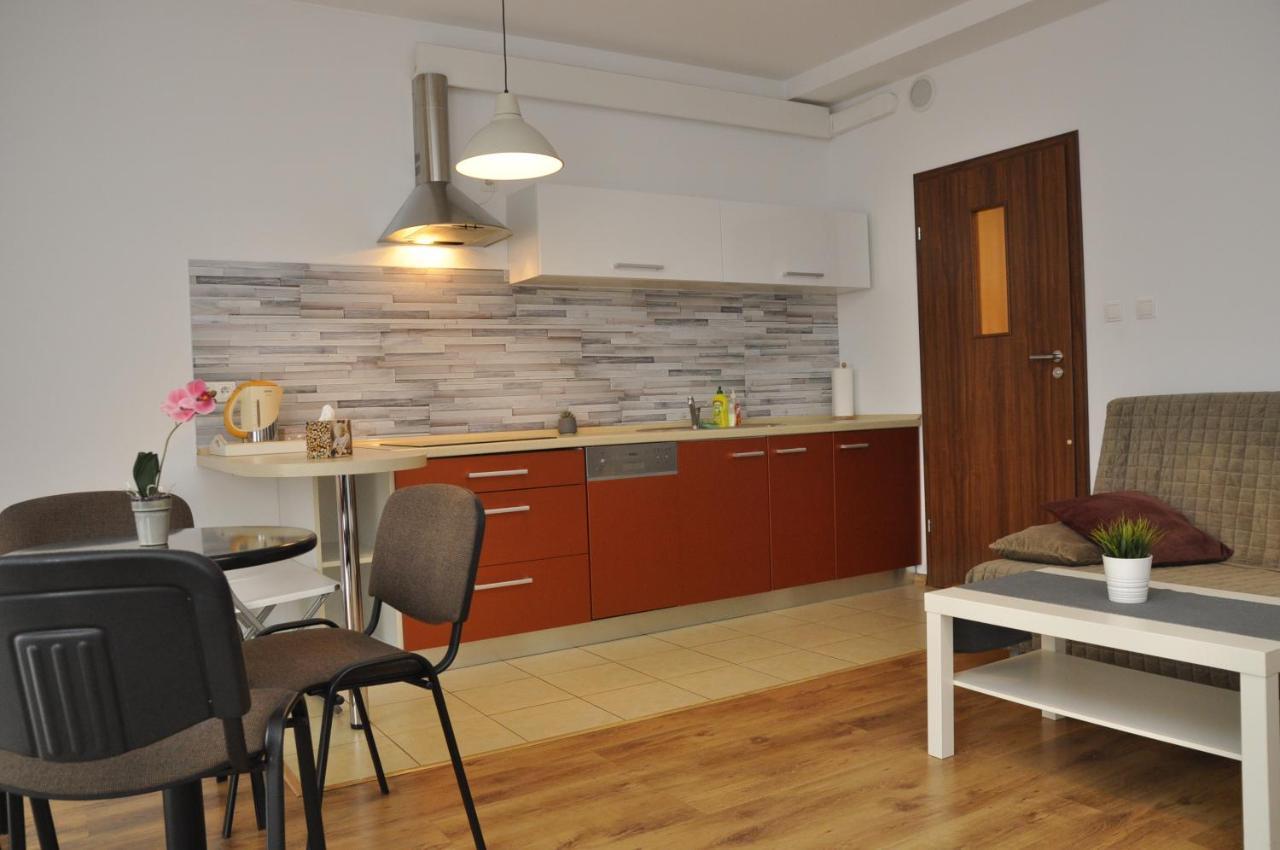 Apartament Bazantowo カトヴィツェ エクステリア 写真