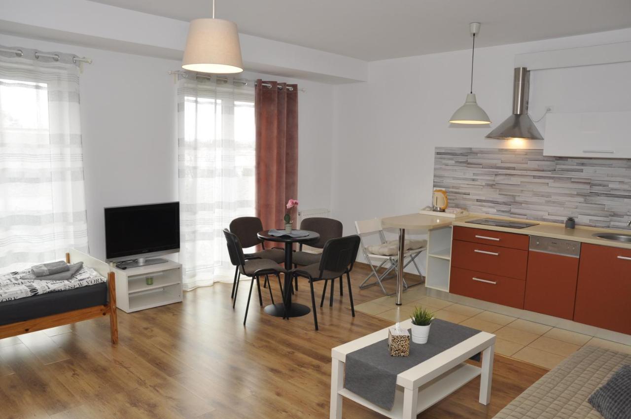 Apartament Bazantowo カトヴィツェ エクステリア 写真